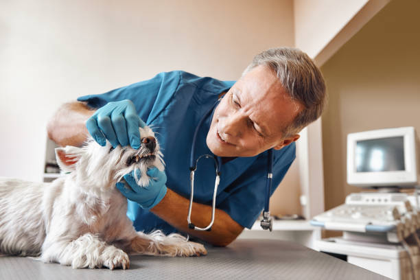 Best Emergency Treatment for Dental Infections or Abscesses in Berkeley Lake, GA